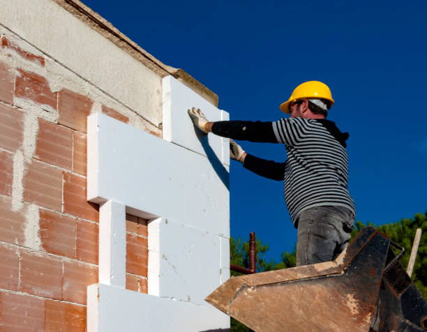Best Insulation Installation Services in Charlotte, MI