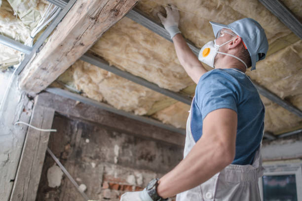 Best Commercial Insulation in Charlotte, MI