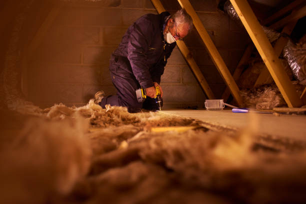Best Residential Insulation in Charlotte, MI